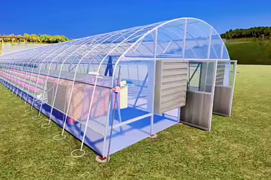 Polytunnel Plastic Tunnel Single Span Agricultural Greenhouse
