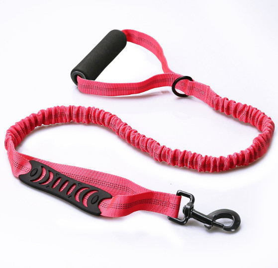 Extendable lead for large dogs
