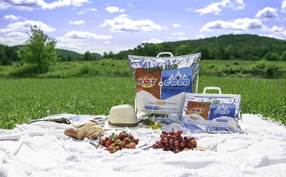 food kept cold in hot and cold bag at picnic