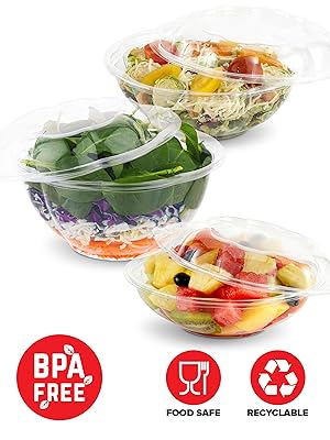 salad container for lunch disposable