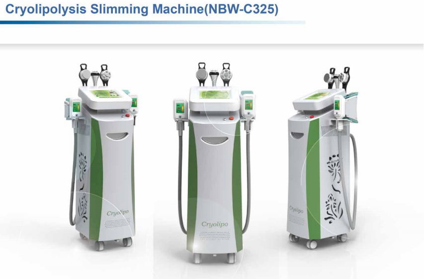2017 Newest Professional Cryolipolysis Slimming Machine