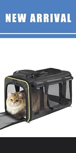vet appointment visit car travel privacy difficul cats nervous cat side loading side entrance