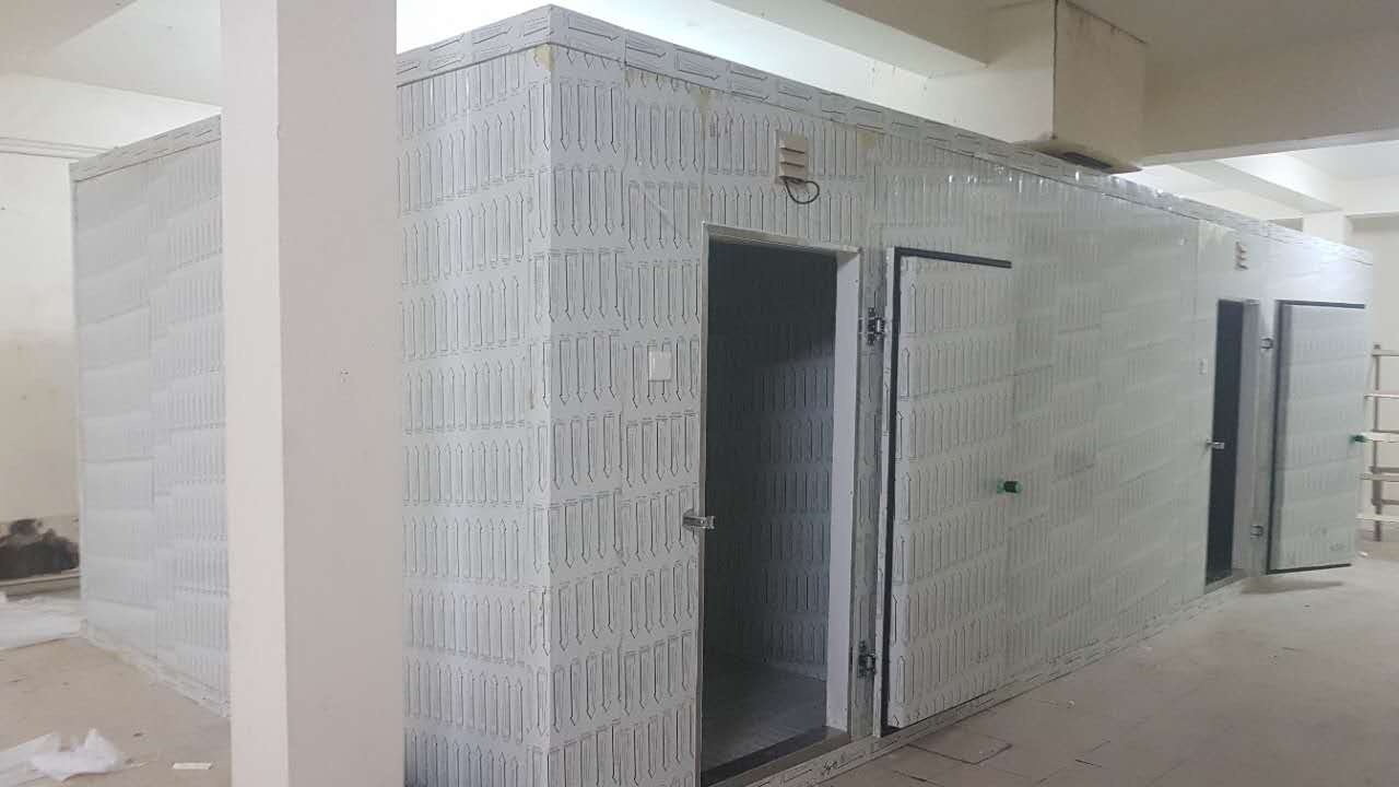 Green&Health High Quality Easy Assemble Cold Room for Meat