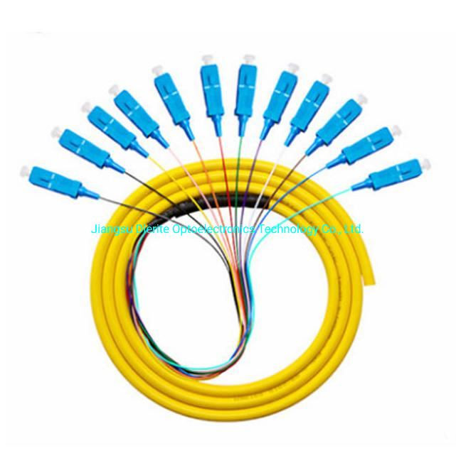 Sc APC Upc 12 Cord Fibers Multimode/Single Mode Optical Fiber Patch Cord Bunch Pigtail for Cable Television