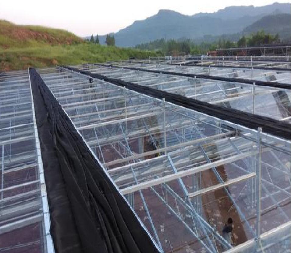 Agricultural Single-Span Tunnel Film Blackout Mushroom Greenhouse with Light Deprivation System for Medical Plants and Mushroom USA/Ca