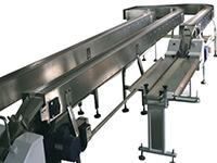 Inspection conveyor