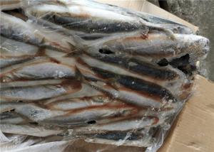 China Decapterus Muroaji 76g 77g Round Scad Frozen Fishing Bait on sale 