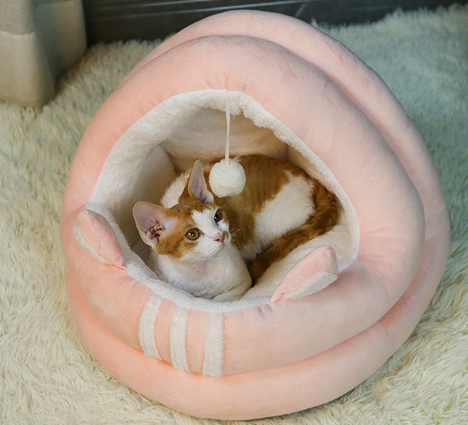 cat plush bed