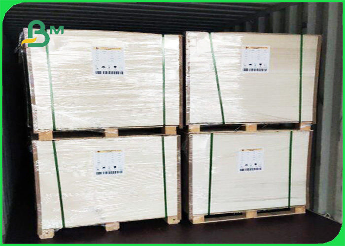 300g + 15g Ivory Board Sheets Coated With Polyethylene Anti Oil For Meal Box