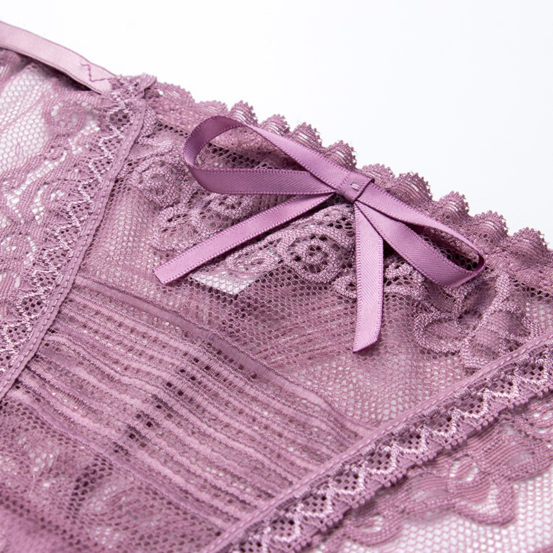 Sexy Lace Panties Transparent Underwear Sexy Lingerie Floral Women Briefs Ladies