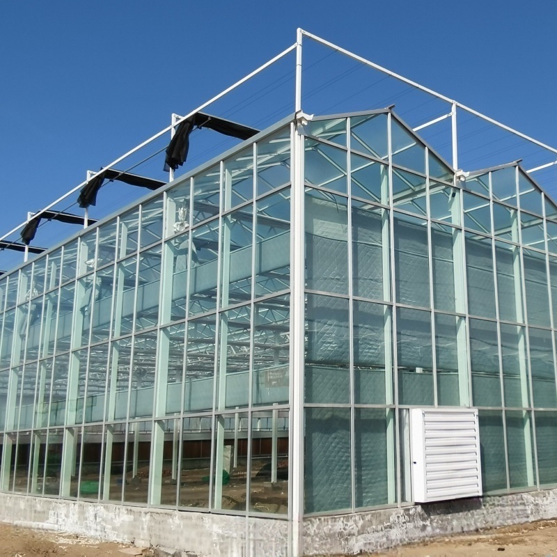 Cheap Farm Agricultural Glass Green House for Sale