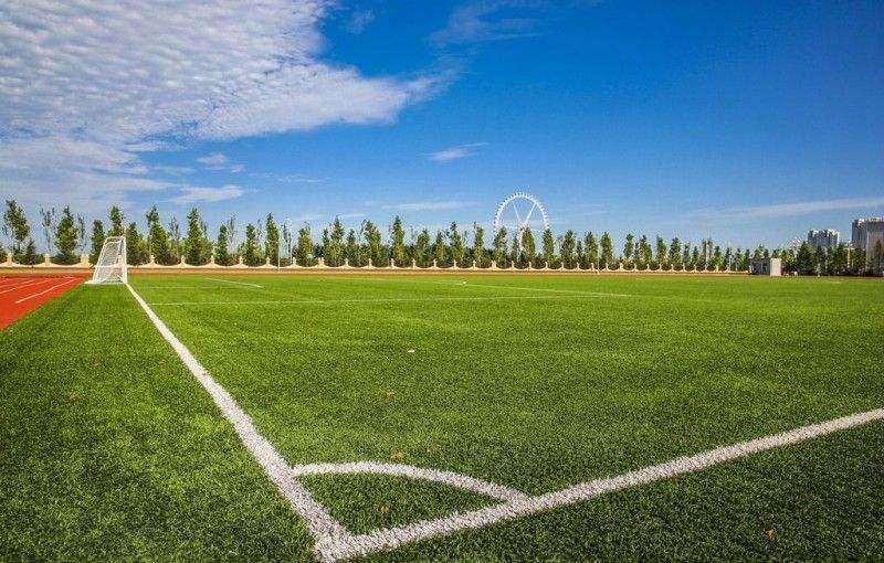 Soccer Field Turf Artificial Turf for Sale, Cheap Sports Flooring Football Artificial Grass