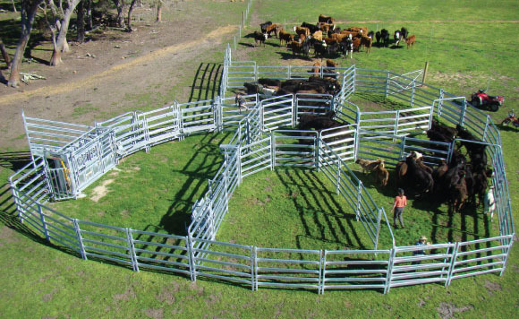 2015 hot sale used horse stalls