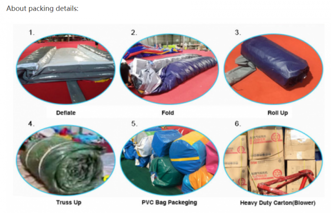 SGS Commercial Inflatable Water Slides Cartoon Themed Infant Bounce House Blow Up Jump House 3