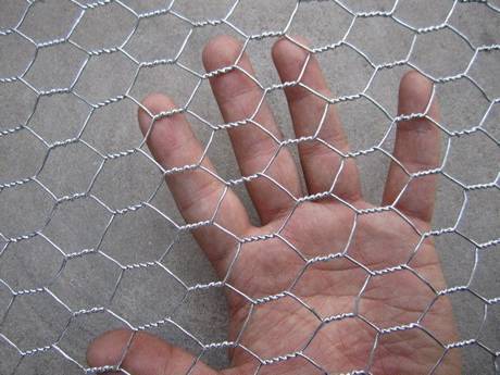 A piece of galvanized chicken wire on a woman's hand.
