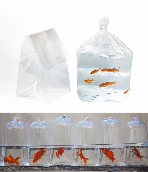 Square Bottom and Flat Poly Tropical Fish Bags