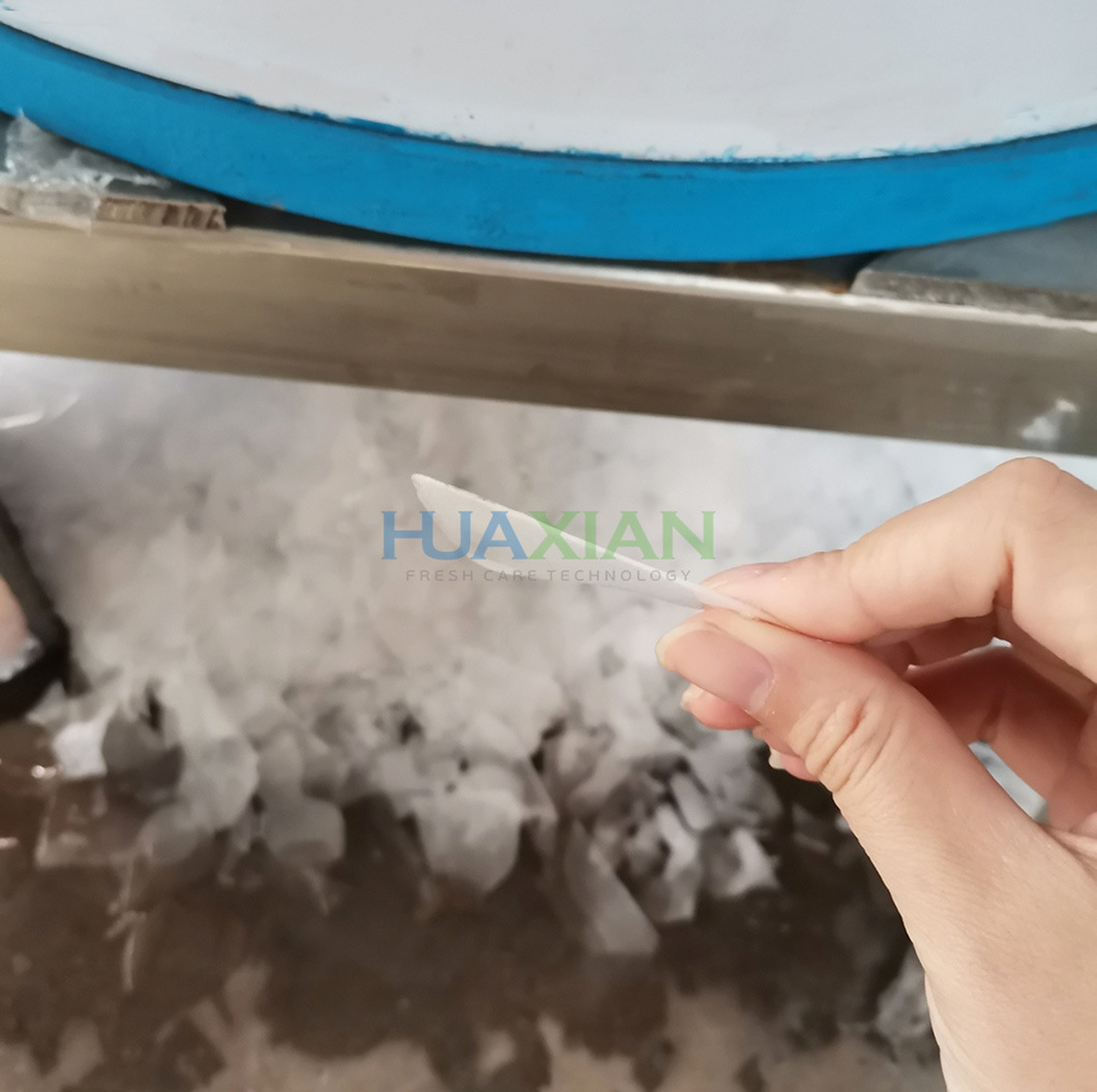 0.2~50 Tons Industrial Fish Ice Maker Machine, Easy Control Condensing Compressor Unit Flake Ice Machine