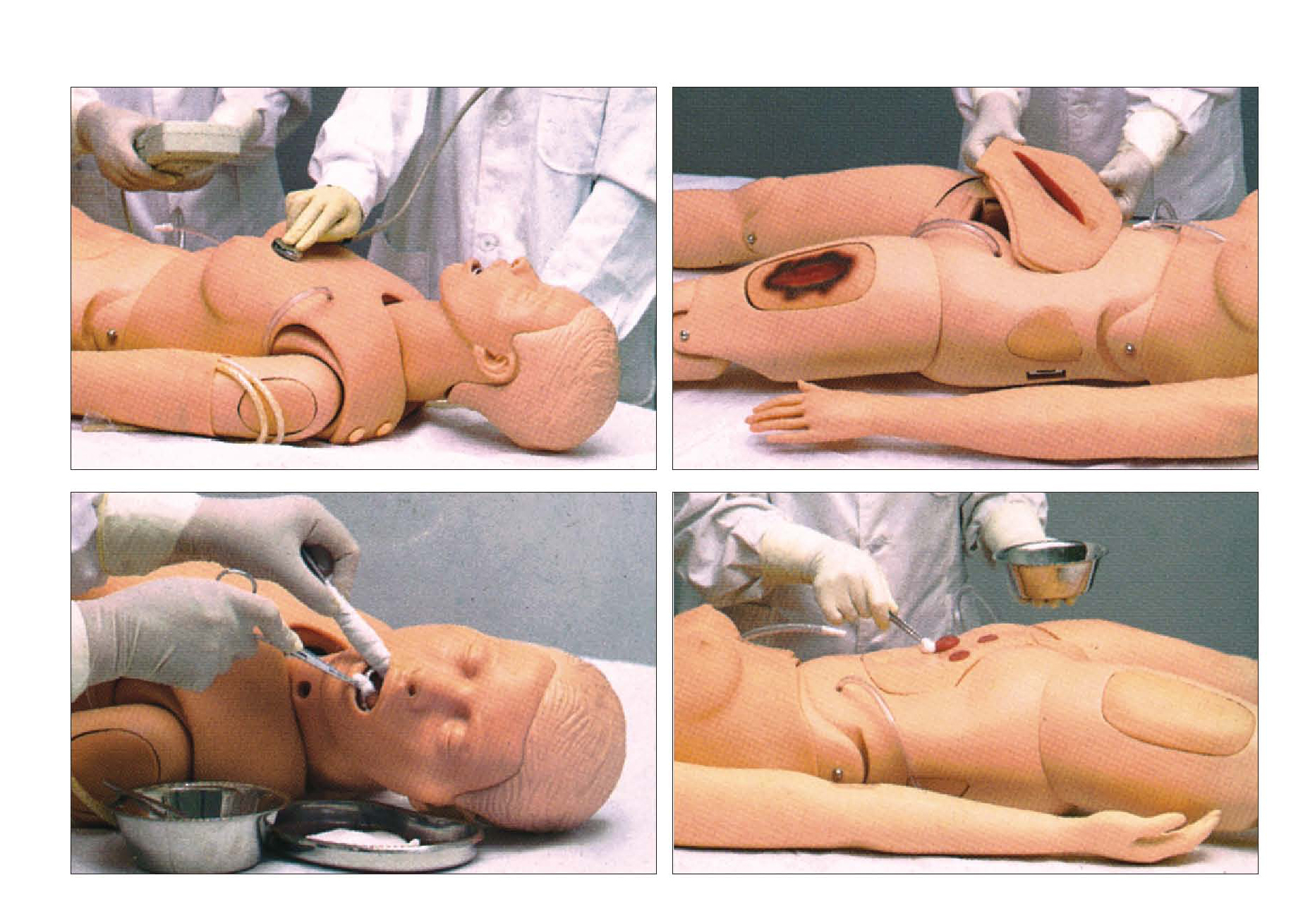Advanced Nursing CPR Models/Manikins
