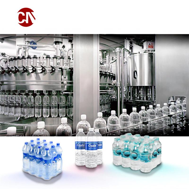 The Complete Water Production Line Includes Blowing/Water Treatment/Filling/Labelling/Wrapping Machines