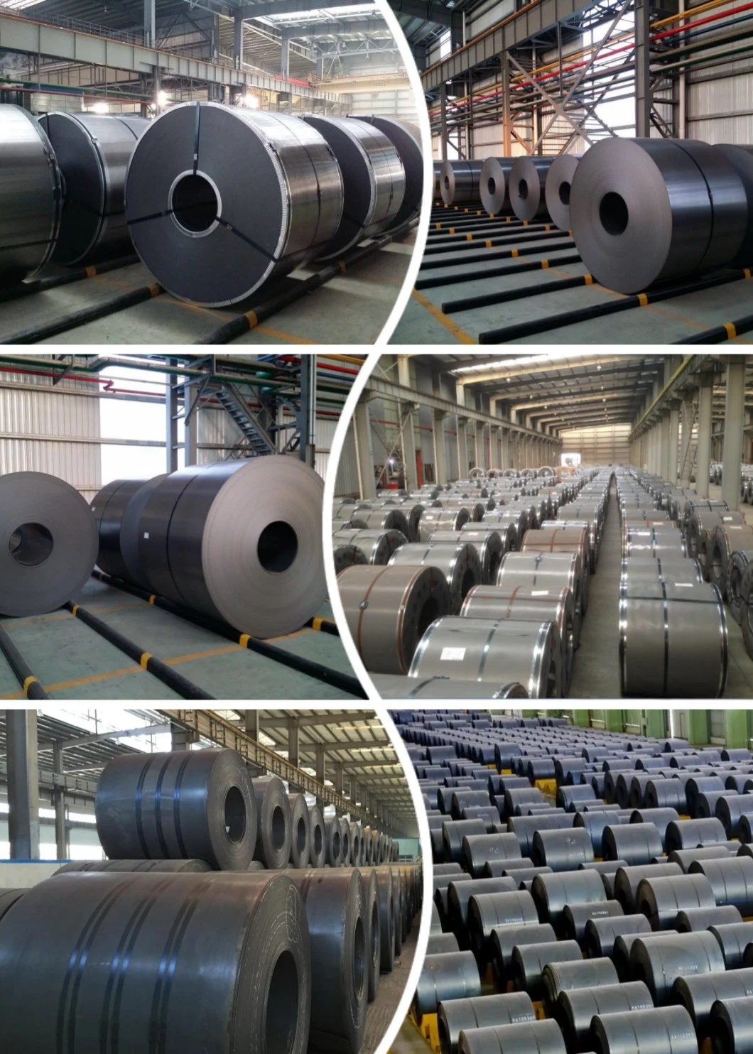 High Quality Hot Rolled Steel Coil /CRC and HRC Sheet Ms Coil Hot Rolled Coil ASTM A36 Ss400 JIS G3101 Black Low Carbon Steel Sheet in Coils