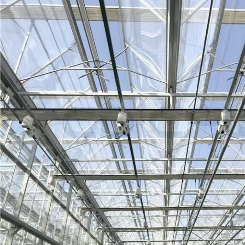 Glass Greenhouse with Hydroponics Growing
