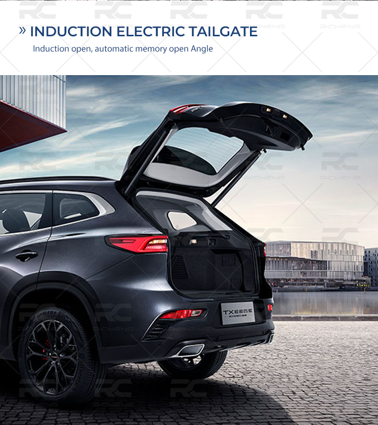 INDUCTION ELECTRIC TAILGATE nduction open, automatic memory open Angle