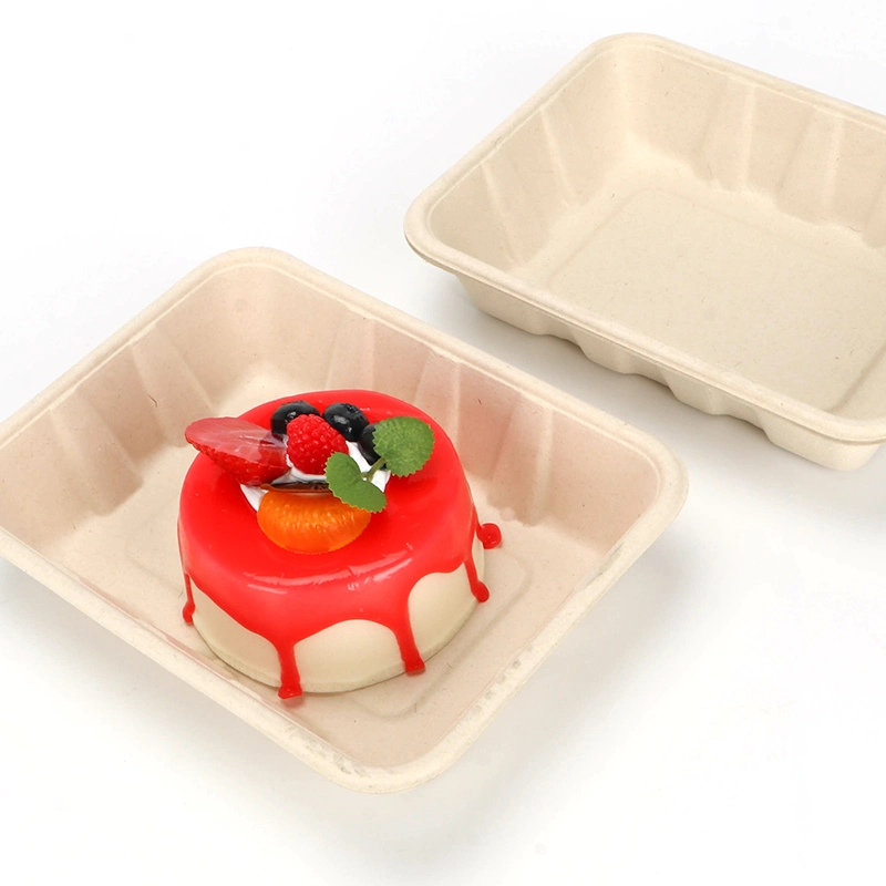 Biodegradable Environmentally Friendly Disposable Lunch Box for Salad Fruits Ntqw95025 Ut175