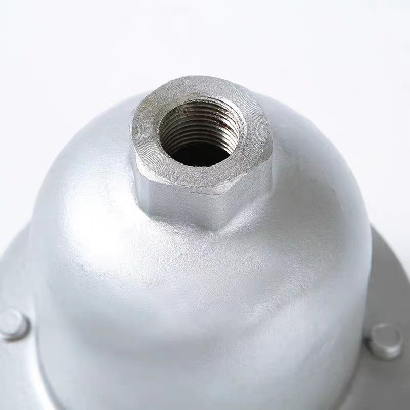 Stainless Steel Female Thread Automatic Exhaust Valve