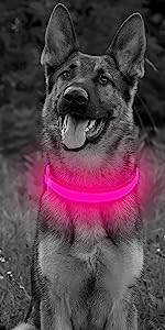 Mesh LED Dog Collar