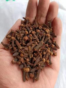 China QS certified Traditional Chinese Medicine Herbs brown Dried Ground Cloves on sale 