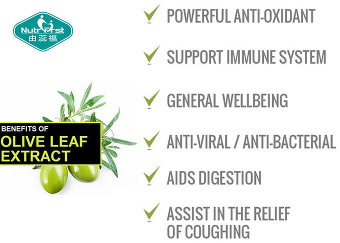 High Strength Olive Leaf Extract Capsules Anti - Oxidant Enhances Immune System