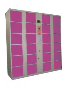China Best selling IC Card/RFID electronic locker used for gym on sale 