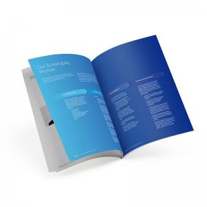China CMYK Color Printing Brochure , A4 A5 Advertising Agency Brochure on sale 