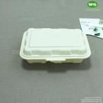Wholesale Corn Starch  2 Compartments Lunch  Box Microwave Safe, Food Grade disposable Containers