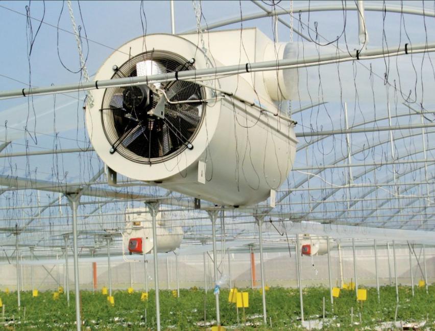 Juxiang&prime;s Anti-Drip Fogging Structure for Seedlings