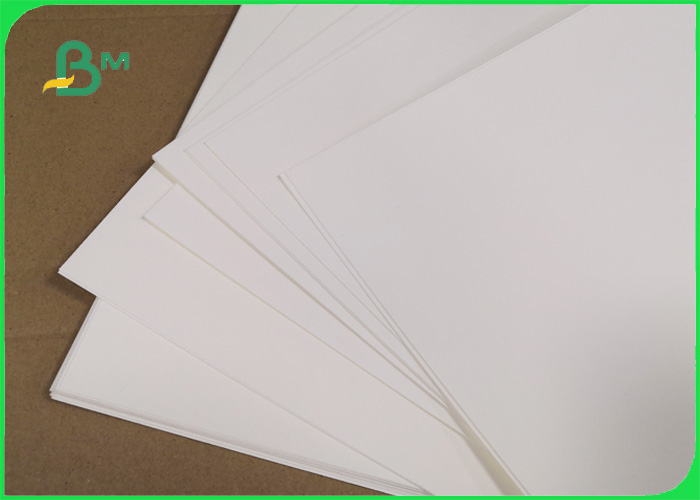  Biodegradable 190gsm 210gsm Cupstock Base Paper For Food bowl 720MM 860MM