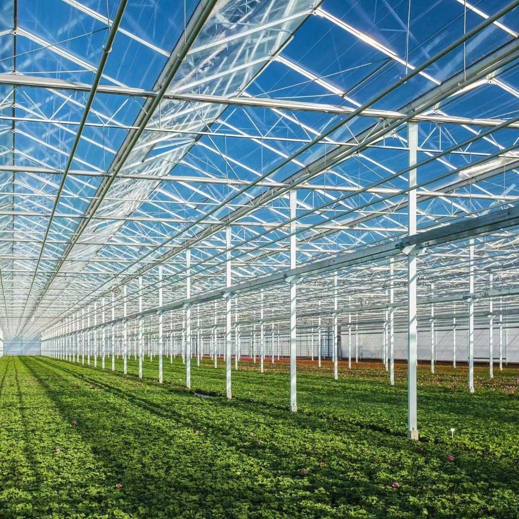Venlo Hollow Double Layer Tempered Glass Greenhouse with Hydroponics Growing System