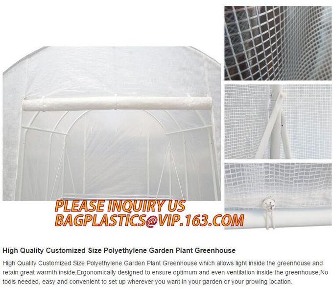 Easy install greenhouse tomato single-span Plastic Film Green House,Low cost garden green houses for plating, PACKAGES 1