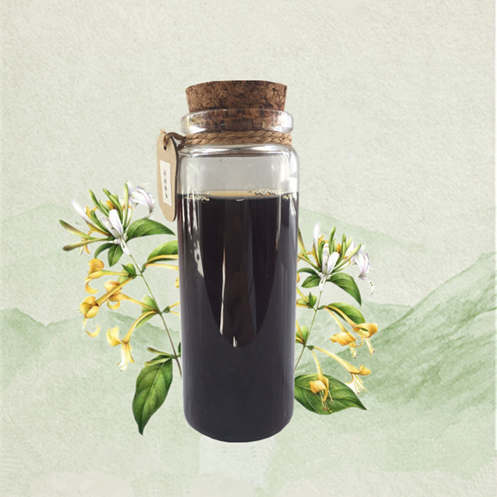 top quality herbal medicine extract liquid honeysuckle extract liquid