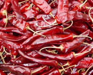 China Jinta pepper on sale 
