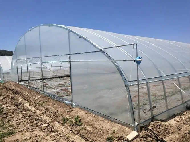 Drip Irrigation Tunnel Greenhouse for Vegetables