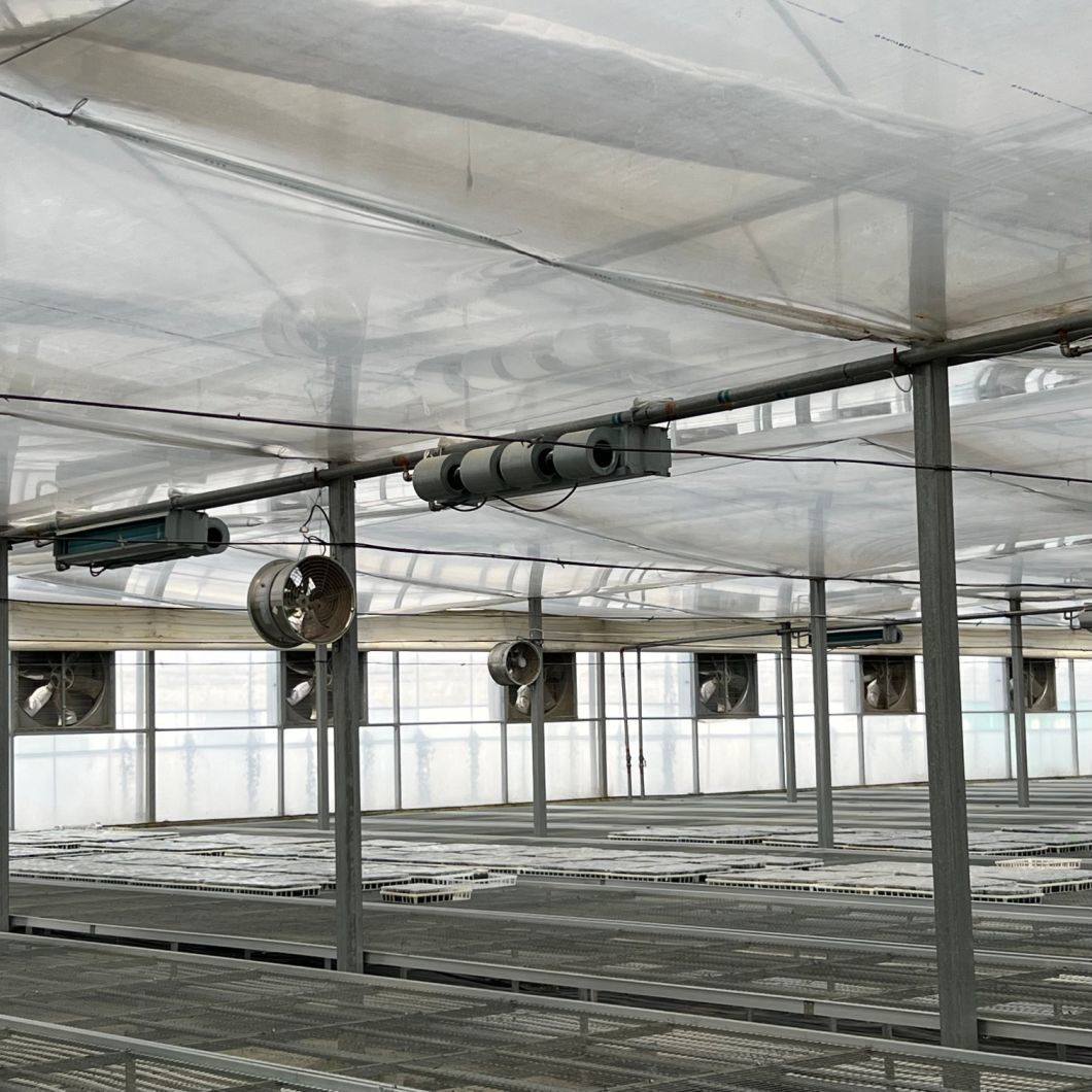 Efficient Water Pipe Agricultural Greenhouse Solution