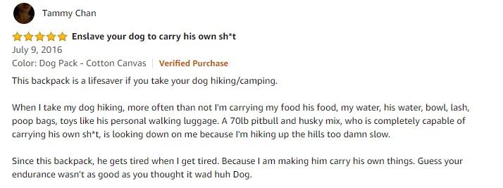 Dog Backpack Lightweight - Hiking, Camping, Shopping, Walking with Your Pet Dog Backpack