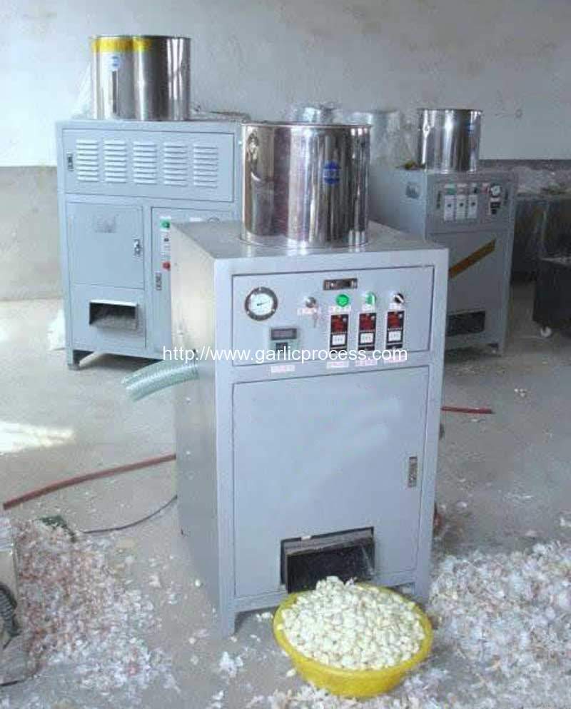 garlic-peeling-machine-working