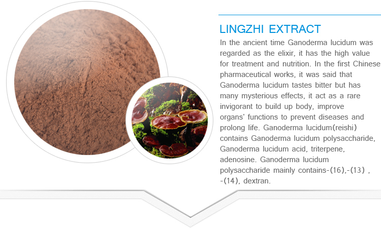 Competitive price ganoderma extract triterpene