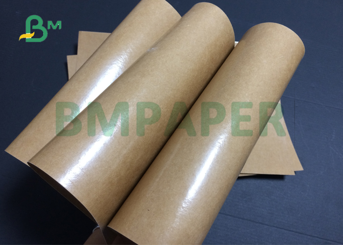 300gsm 350gsm Coated 15g Polyethylene Lunch Box Paper For Food Take-away Box 