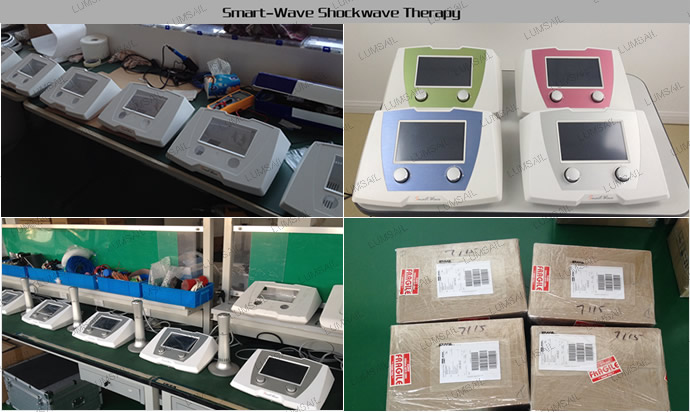 veterinary laser shock wave therapy equipment/shock wave for horse