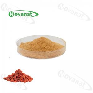 China Organic Goji Berry Extract Powder 20% - 50% Polysaccharides / Water Soluble / Clean Label on sale 