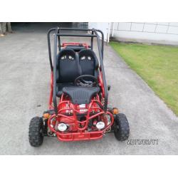 50cc dune buggy for sale