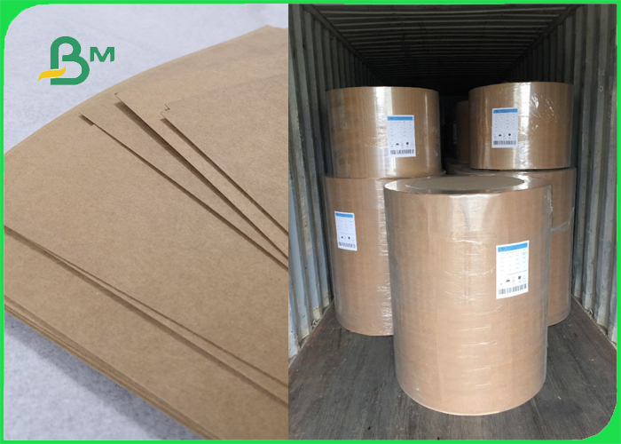 Moisture Proof Eco Brown Kraft Paper For Fast Food Packaging 300gsm 350gsm
